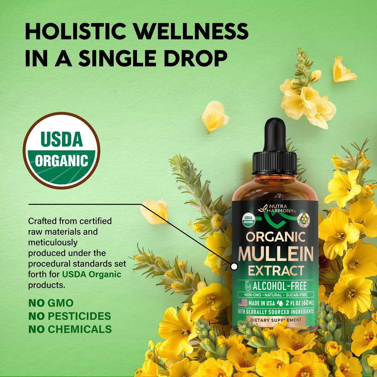 Mullein Drops für die Lunge - USDA Bio Flüssig - Mullein Blattextrakt für Frauen & Männer - Lungen- & Bronchialreinigung für Raucher - Unterstützung der Atemwegsgesundheit - als Tinktur, Tee, Pillen - 60 ml