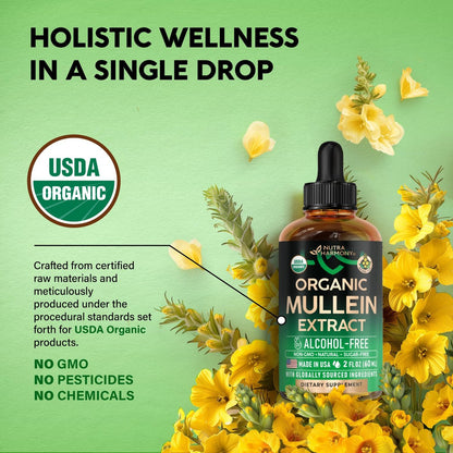 Mullein Drops für die Lunge - USDA Bio Flüssig - Mullein Blattextrakt für Frauen & Männer - Lungen- & Bronchialreinigung für Raucher - Unterstützung der Atemwegsgesundheit - als Tinktur, Tee, Pillen - 60 ml