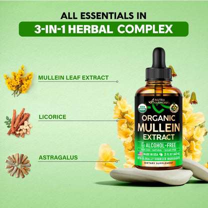 Mullein Drops für die Lunge - USDA Bio Flüssig - Mullein Blattextrakt für Frauen & Männer - Lungen- & Bronchialreinigung für Raucher - Unterstützung der Atemwegsgesundheit - als Tinktur, Tee, Pillen - 60 ml