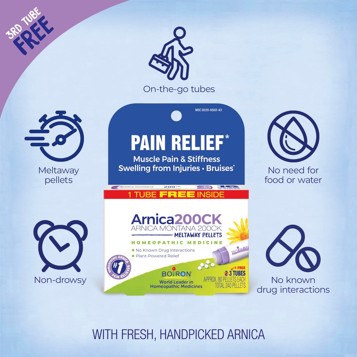 Boiron Arnica Montana 200CK Homöopathisches Arzneimittel zur Schmerzlinderung, Muskelkater & Steifheit, Schwellungen nach Verletzungen & Blutergüsse - 3 Packungen (240 Kügelchen)