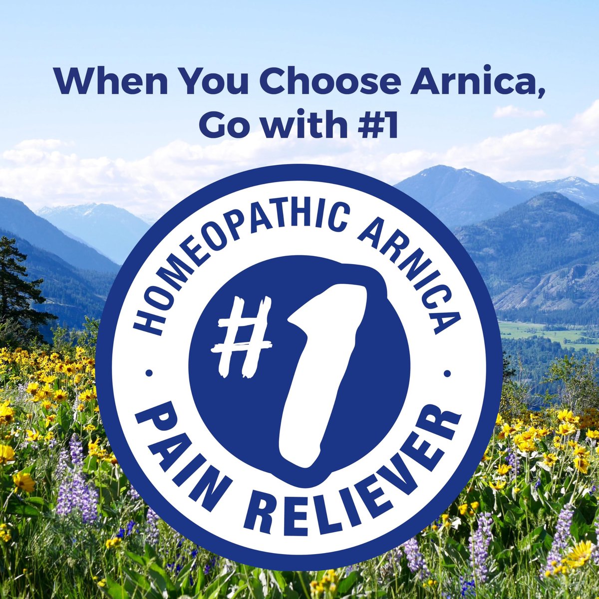Boiron Arnica Montana 200CK Homöopathisches Arzneimittel zur Schmerzlinderung, Muskelkater & Steifheit, Schwellungen nach Verletzungen & Blutergüsse - 3 Packungen (240 Kügelchen)