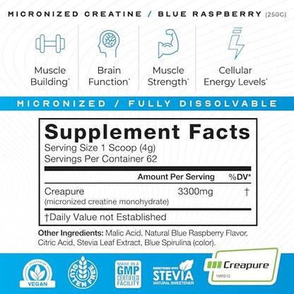 Muscle Feast Creapure Micronisiertes Kreatin-Monohydrat-Pulver | Premium Pre-Workout oder Post-Workout | Kreatin für Frauen & Männer | Leicht zu mischen, glutenfrei, sicher und rein (Blaue Himbeere, 250 g)