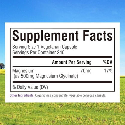 Innate Vitality Magnesium Glycinat 500mg | 70mg Elementares Magnesium – Hochabsorbierend, Nicht Gepuffert, Vegan, Ohne Gluten – 240 Kapseln