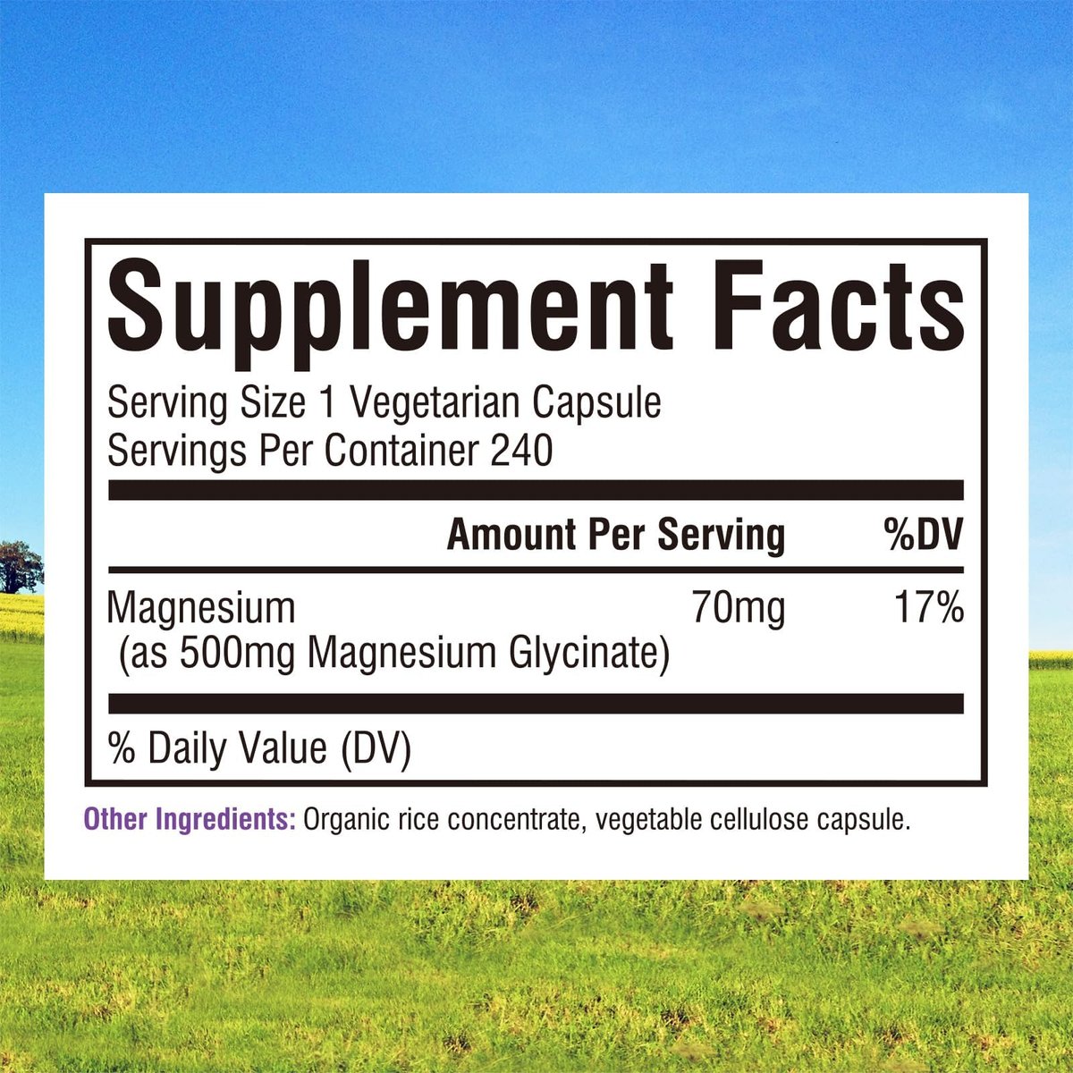 Innate Vitality Magnesium Glycinat 500mg | 70mg Elementares Magnesium – Hochabsorbierend, Nicht Gepuffert, Vegan, Ohne Gluten – 240 Kapseln