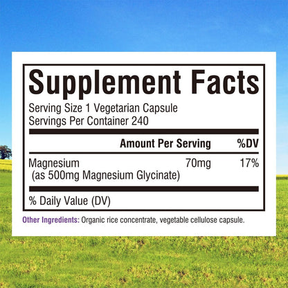 Innate Vitality Magnesium Glycinat 500mg | 70mg Elementares Magnesium – Hochabsorbierend, Nicht Gepuffert, Vegan, Ohne Gluten – 240 Kapseln