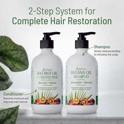 ILLUVISSE Batana Öl Shampoo & Conditioner Set für Haarwachstum & -verdickung – Bio Rosmarin, Teebaumöl, Biotin & Aloe Vera für Männer & Frauen – Stärkt, pflegt & glättet, 500 ml je Flasche