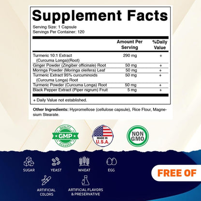 Vitamatic Curcumin 10:1 Extrakt 290 mg – Pflanzlicher Kurkuma-Extrakt mit Schwarzem Pfeffer 5mg, Ingwer 50mg & Moringa 500 mg – Vegetarisch, Ohne Gentechnik, Glutenfrei – 120 Kapseln