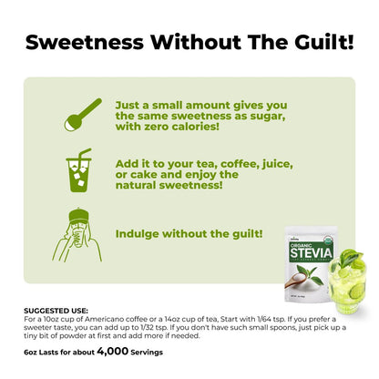 Viccoky Bio Stevia Pulver 6oz (171g) – Reiner Stevia Extrakt, Zuckerfrei & 0 Kalorien, Ohne Zusätze, Natürlicher Süßstoff