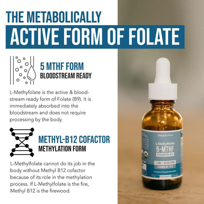 Organisches L-Methylfolat 7,5 mg plus Methyl-B12-Cofaktor – Bioaktive 5-MTHF-Form, überlegene Folatform – Bio-Beeren-Geschmack, flüssig sublingual – Stimmung, Kognition, Methylierung (30 ml)