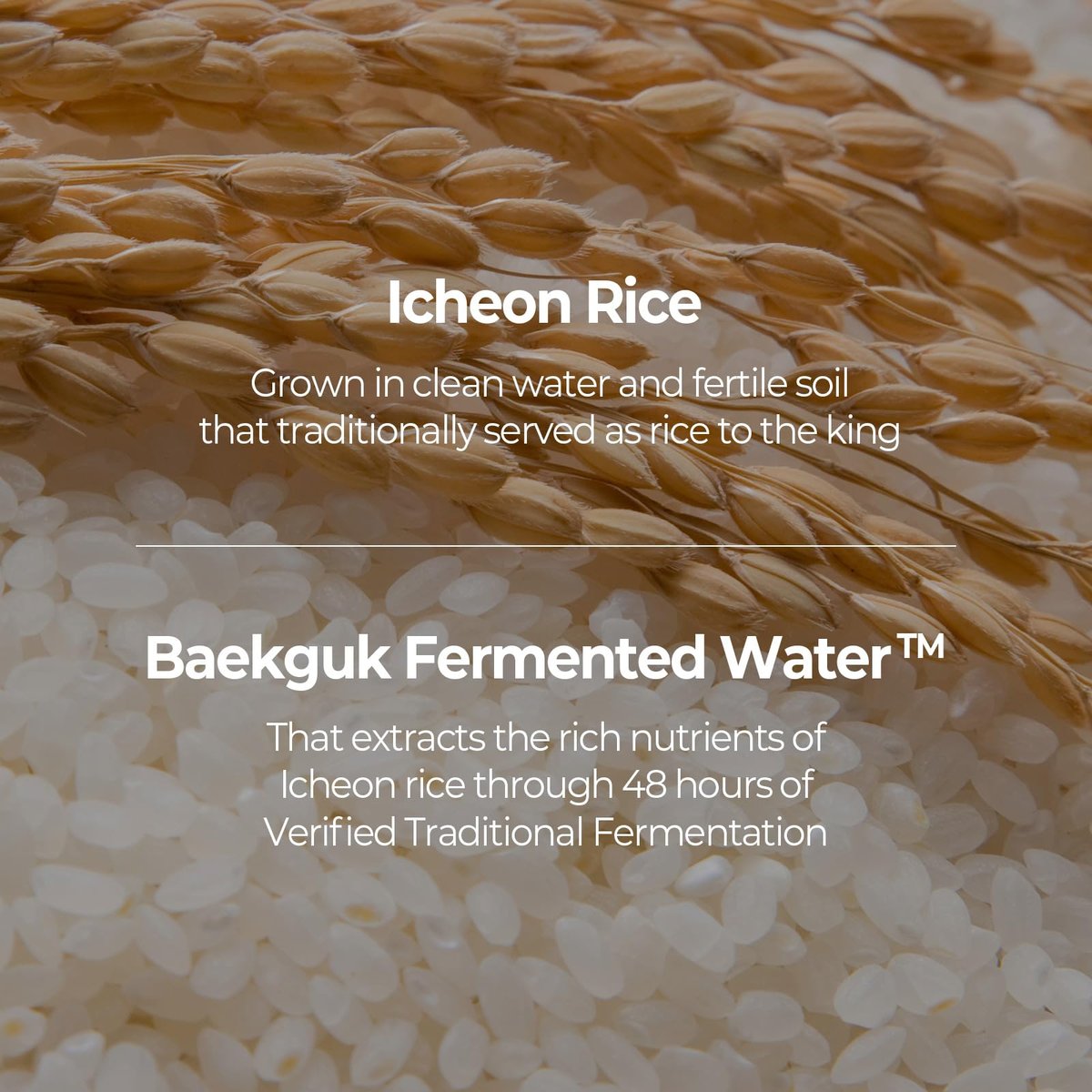 SKINFOOD Rice Serum – 48 Stunden fermentiertes Reiswasser Serum für natürlichen Glow und Glas-Haut, Porenverfeinerung, 55 ml