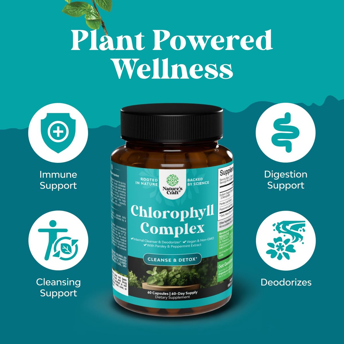 Chlorophyll Kapseln zur Reinigung und Entgiftung - Innerliches Deodorant gegen Körpergeruch mit Minze & Petersilie Extrakt für gesunde Haut, Immunität & Verdauung - Vegan, Nicht-GVO & Glutenfrei (60 Kapseln)