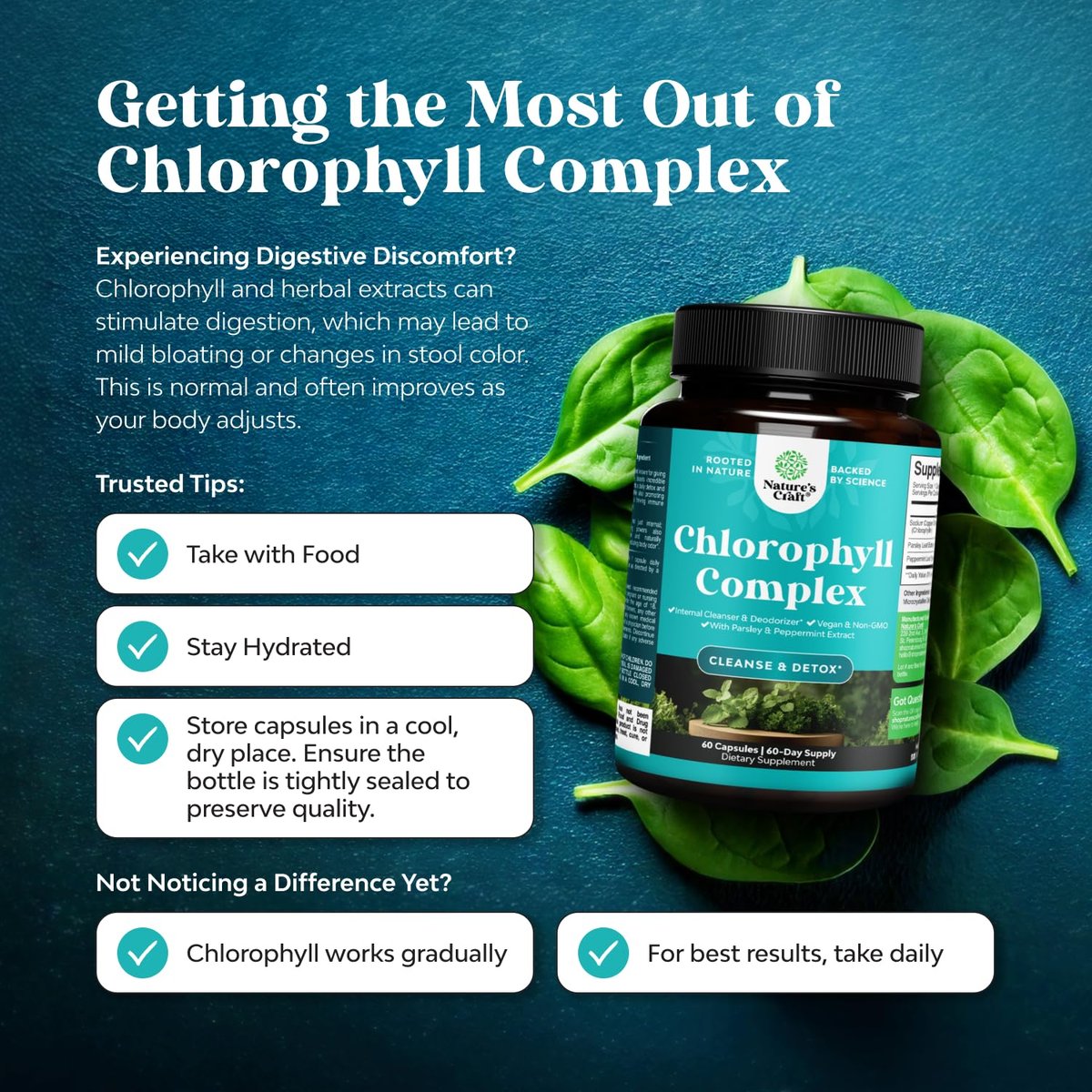 Chlorophyll Kapseln zur Reinigung und Entgiftung - Innerliches Deodorant gegen Körpergeruch mit Minze & Petersilie Extrakt für gesunde Haut, Immunität & Verdauung - Vegan, Nicht-GVO & Glutenfrei (60 Kapseln)