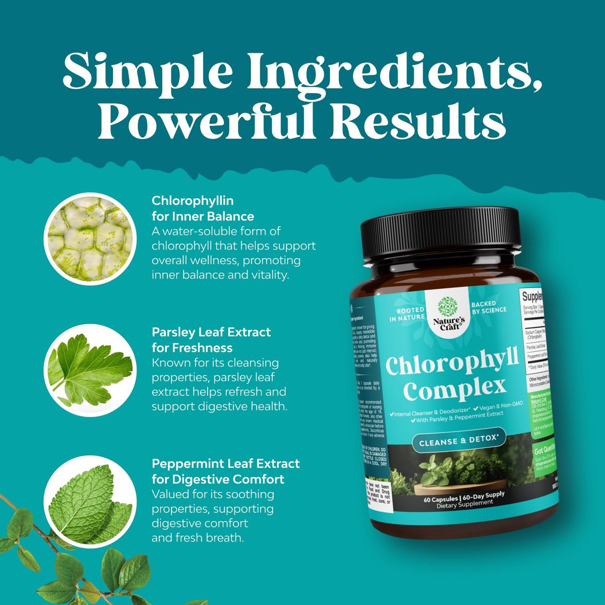 Chlorophyll Kapseln zur Reinigung und Entgiftung - Innerliches Deodorant gegen Körpergeruch mit Minze & Petersilie Extrakt für gesunde Haut, Immunität & Verdauung - Vegan, Nicht-GVO & Glutenfrei (60 Kapseln)