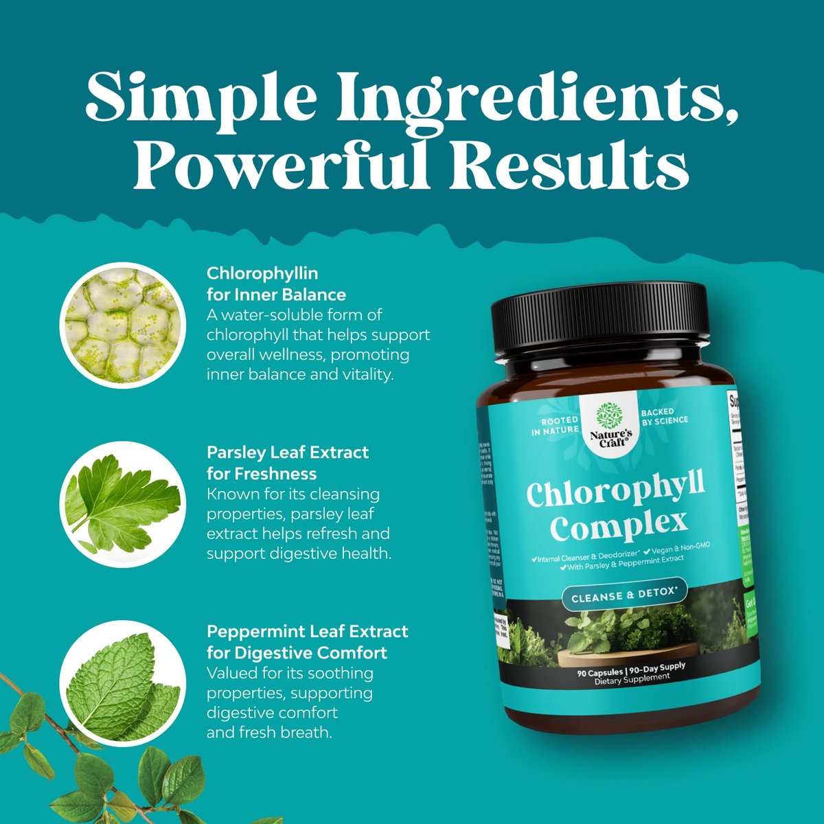 Chlorophyll Kapseln zur Reinigung und Entgiftung - Internes Deodorant gegen Körpergeruch mit Minze & Petersilie - Unterstützt gesunde Haut, Immunsystem & Verdauung - Vegan, Non-GMO & Glutenfrei (90 Kapseln)