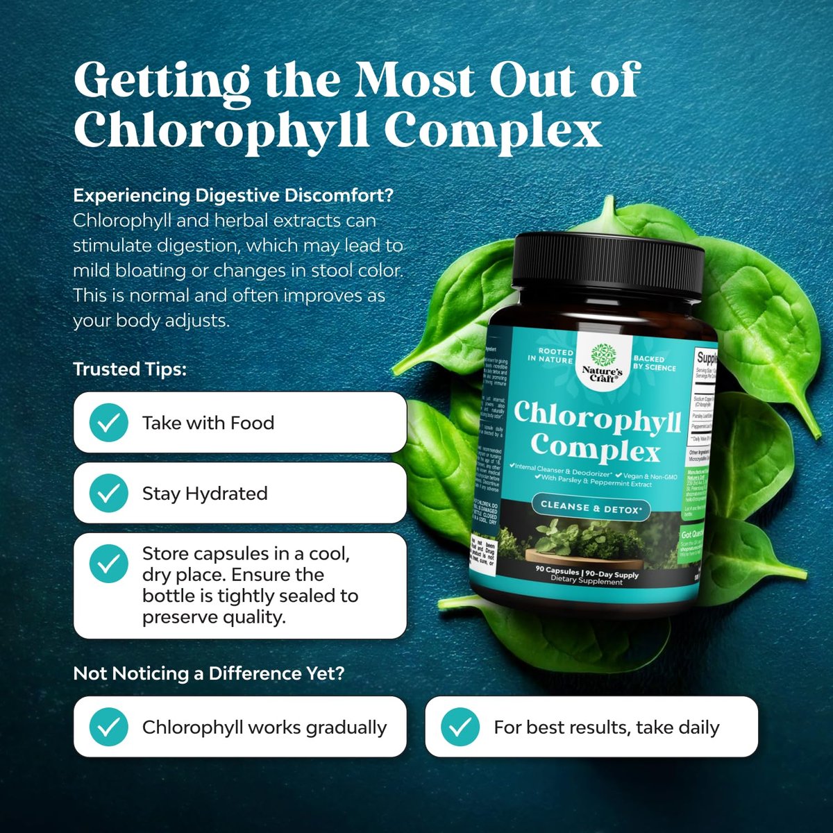 Chlorophyll Kapseln zur Reinigung und Entgiftung - Internes Deodorant gegen Körpergeruch mit Minze & Petersilie - Unterstützt gesunde Haut, Immunsystem & Verdauung - Vegan, Non-GMO & Glutenfrei (90 Kapseln)