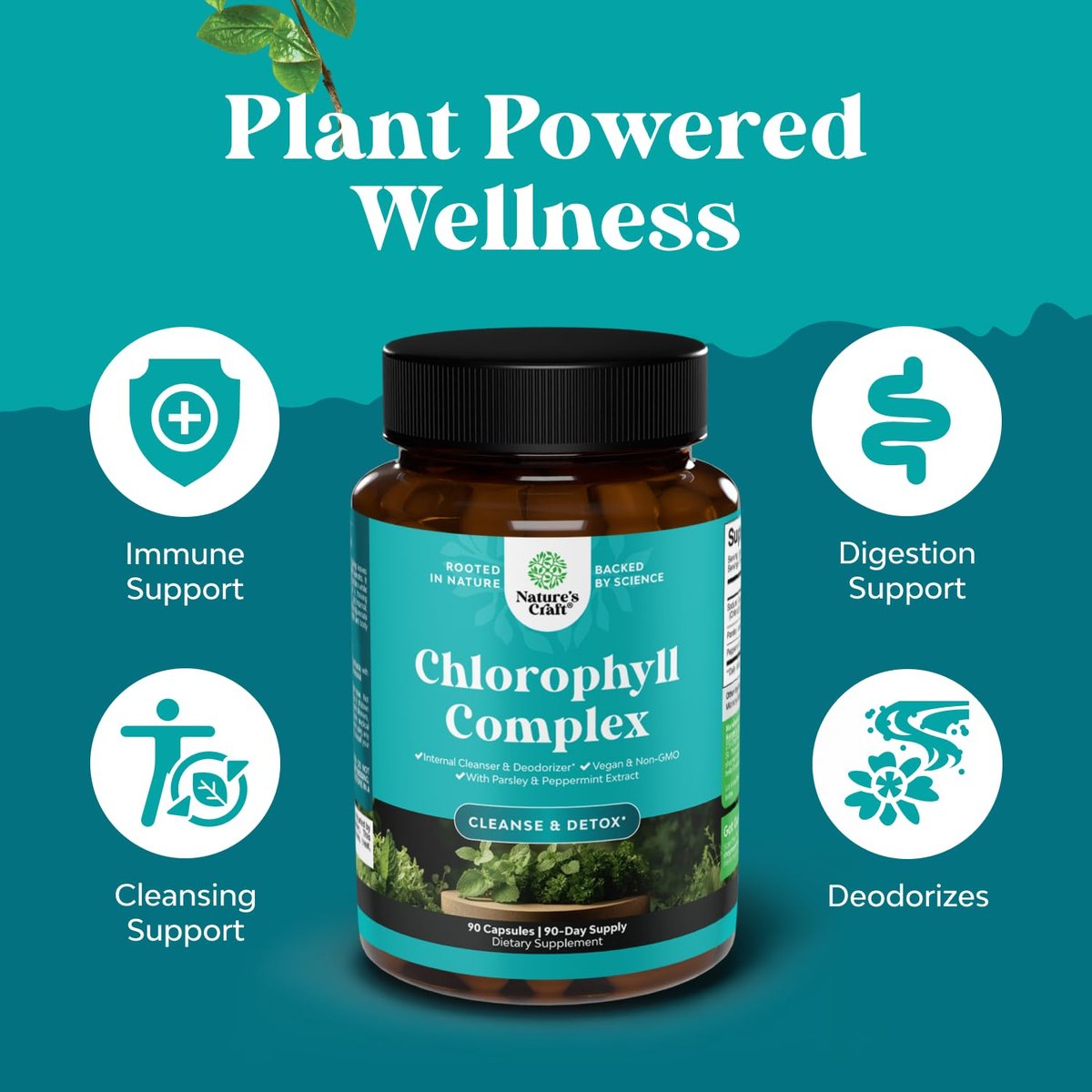 Chlorophyll Kapseln zur Reinigung und Entgiftung - Internes Deodorant gegen Körpergeruch mit Minze & Petersilie - Unterstützt gesunde Haut, Immunsystem & Verdauung - Vegan, Non-GMO & Glutenfrei (90 Kapseln)