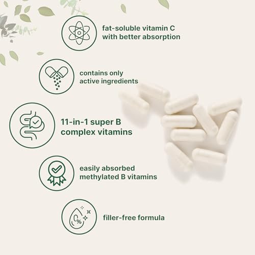 Micro Ingredients Reines Methyliertes B-Komplex, 240 Kapseln | 11-in-1 Formel mit Methylfolat, B12, Thiamin, Inositol, Cholin & fettlöslichem Vitamin C | Saubere Inhaltsstoffe ohne Füllstoffe | Non-GMO