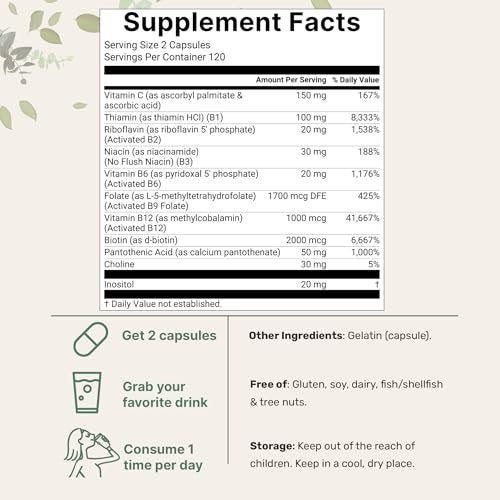Micro Ingredients Reines Methyliertes B-Komplex, 240 Kapseln | 11-in-1 Formel mit Methylfolat, B12, Thiamin, Inositol, Cholin & fettlöslichem Vitamin C | Saubere Inhaltsstoffe ohne Füllstoffe | Non-GMO
