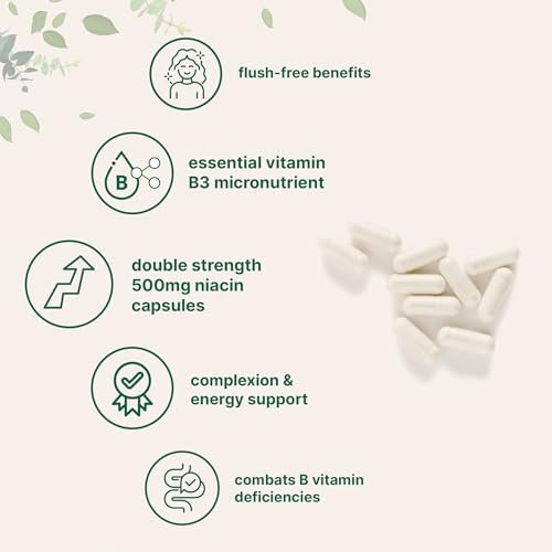 Micro Ingredients Niacin 500 mg pro Portion, 400 Kapseln – Flush-freies B3-Vitamin – Doppelte Stärke, essenzielles B-Vitamin – Unterstützt Hautpflege und Energie – Nicht-GVO, glutenfrei