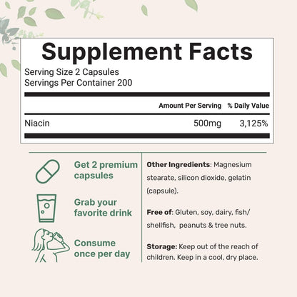 Micro Ingredients Niacin 500 mg pro Portion, 400 Kapseln – Flush-freies B3-Vitamin – Doppelte Stärke, essenzielles B-Vitamin – Unterstützt Hautpflege und Energie – Nicht-GVO, glutenfrei