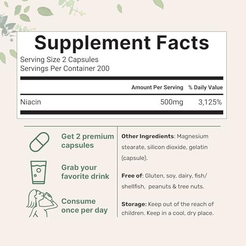 Micro Ingredients Niacin 500 mg pro Portion, 400 Kapseln – Flush-freies B3-Vitamin – Doppelte Stärke, essenzielles B-Vitamin – Unterstützt Hautpflege und Energie – Nicht-GVO, glutenfrei