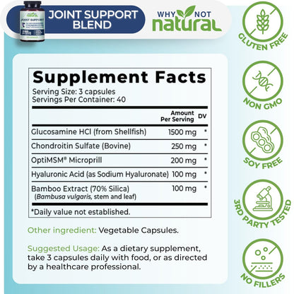 Why Not Natural Glucosamin Chondroitin MSM – Gelenkunterstützung für Knie & Gelenke