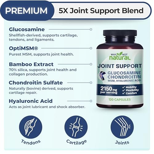 Why Not Natural Glucosamin Chondroitin MSM – Gelenkunterstützung für Knie & Gelenke