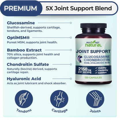 Why Not Natural Glucosamin Chondroitin MSM – Gelenkunterstützung für Knie & Gelenke