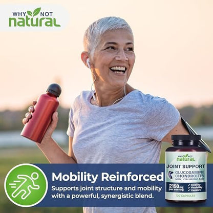 Why Not Natural Glucosamin Chondroitin MSM – Gelenkunterstützung für Knie & Gelenke