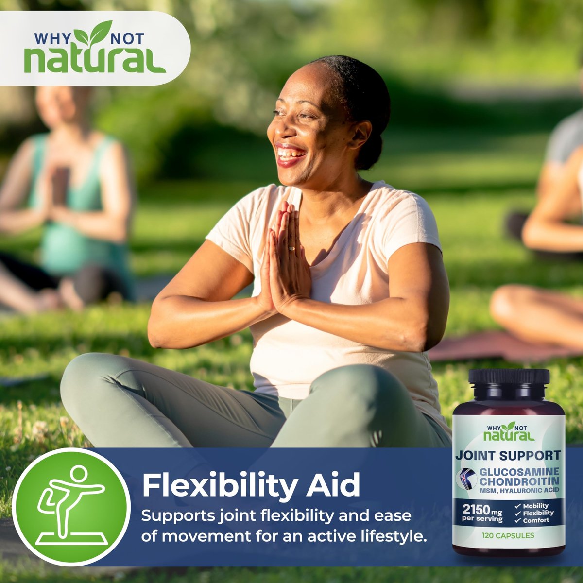 Why Not Natural Glucosamin Chondroitin MSM – Gelenkunterstützung für Knie & Gelenke