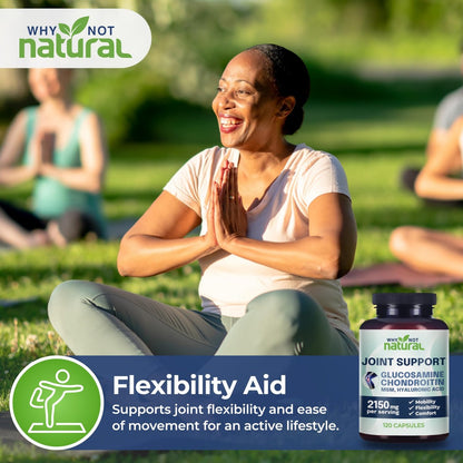 Why Not Natural Glucosamin Chondroitin MSM – Gelenkunterstützung für Knie & Gelenke