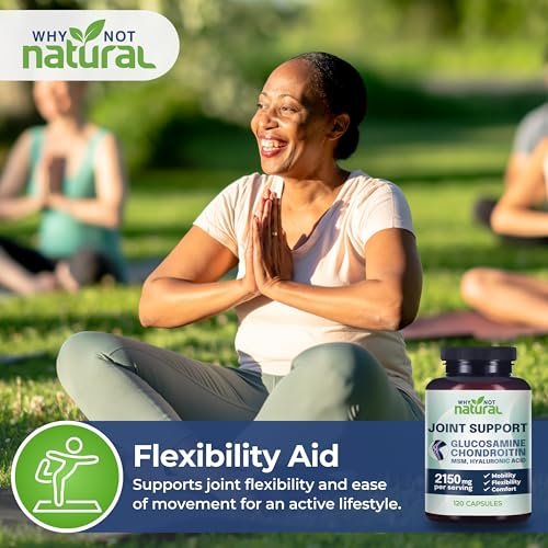 Why Not Natural Glucosamin Chondroitin MSM – Gelenkunterstützung für Knie & Gelenke