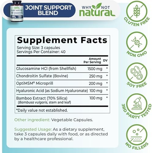 Why Not Natural Glucosamin Chondroitin MSM – Gelenkunterstützung für Knie & Gelenke