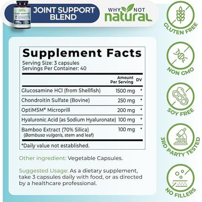 Why Not Natural Glucosamin Chondroitin MSM – Gelenkunterstützung für Knie & Gelenke