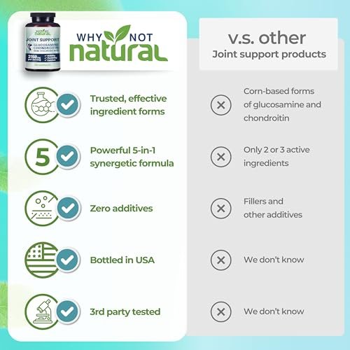 Why Not Natural Glucosamin Chondroitin MSM – Gelenkunterstützung für Knie & Gelenke
