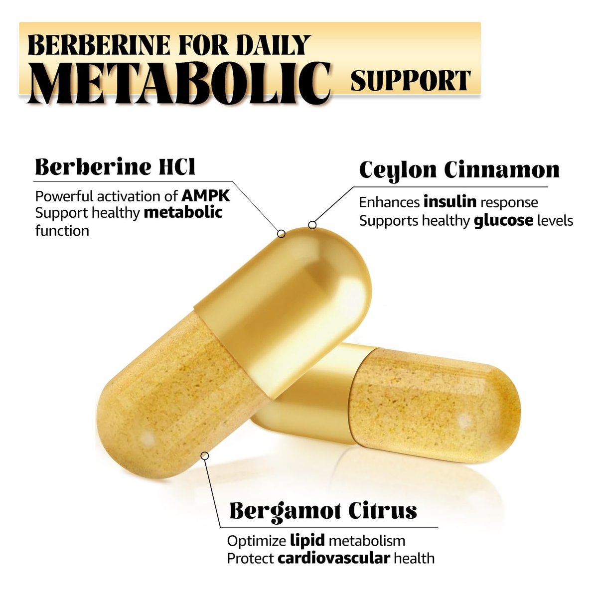 LSOIUX Berberin-Komplex mit Ceylon-Zimt – Liposomales Berberin für den Stoffwechsel, 600 mg, 120 Kapseln, Vegan, Non-GMO
