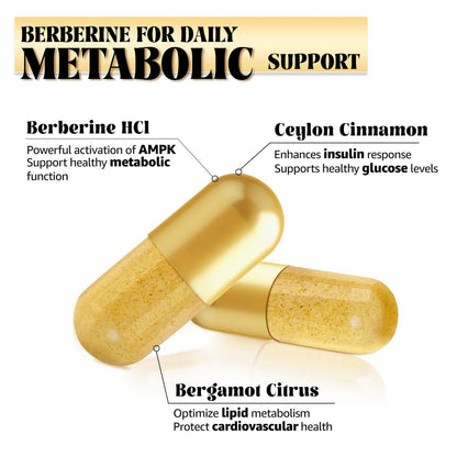 LSOIUX Berberin-Komplex mit Ceylon-Zimt – Liposomales Berberin für den Stoffwechsel, 600 mg, 120 Kapseln, Vegan, Non-GMO