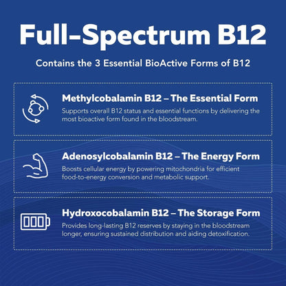Bioaktiver Vitamin B-Komplex – Blutstrombereit, methylierter B-Komplex mit Methylfolat, 3 bioaktiven Formen von B12, BenfoPure® B1 & Pantesin® B5 – 12 B-Vitamine in klinischen Dosen – 60 Portionen