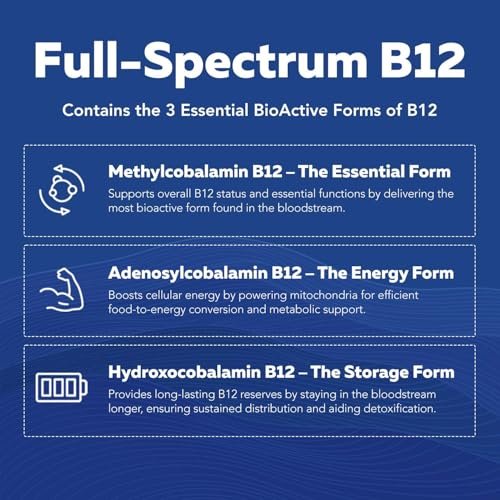 Bioaktiver Vitamin B-Komplex – Blutstrombereit, methylierter B-Komplex mit Methylfolat, 3 bioaktiven Formen von B12, BenfoPure® B1 & Pantesin® B5 – 12 B-Vitamine in klinischen Dosen – 60 Portionen