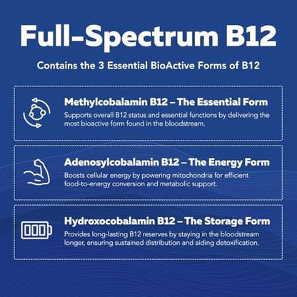 Bioaktiver Vitamin B-Komplex – Blutstrombereit, methylierter B-Komplex mit Methylfolat, 3 bioaktiven Formen von B12, BenfoPure® B1 & Pantesin® B5 – 12 B-Vitamine in klinischen Dosen – 60 Portionen