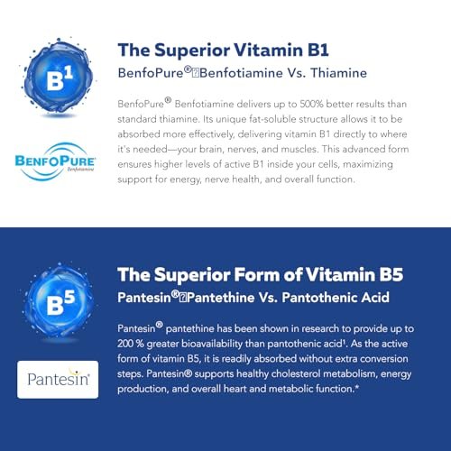 Bioaktiver Vitamin B-Komplex – Blutstrombereit, methylierter B-Komplex mit Methylfolat, 3 bioaktiven Formen von B12, BenfoPure® B1 & Pantesin® B5 – 12 B-Vitamine in klinischen Dosen – 60 Portionen