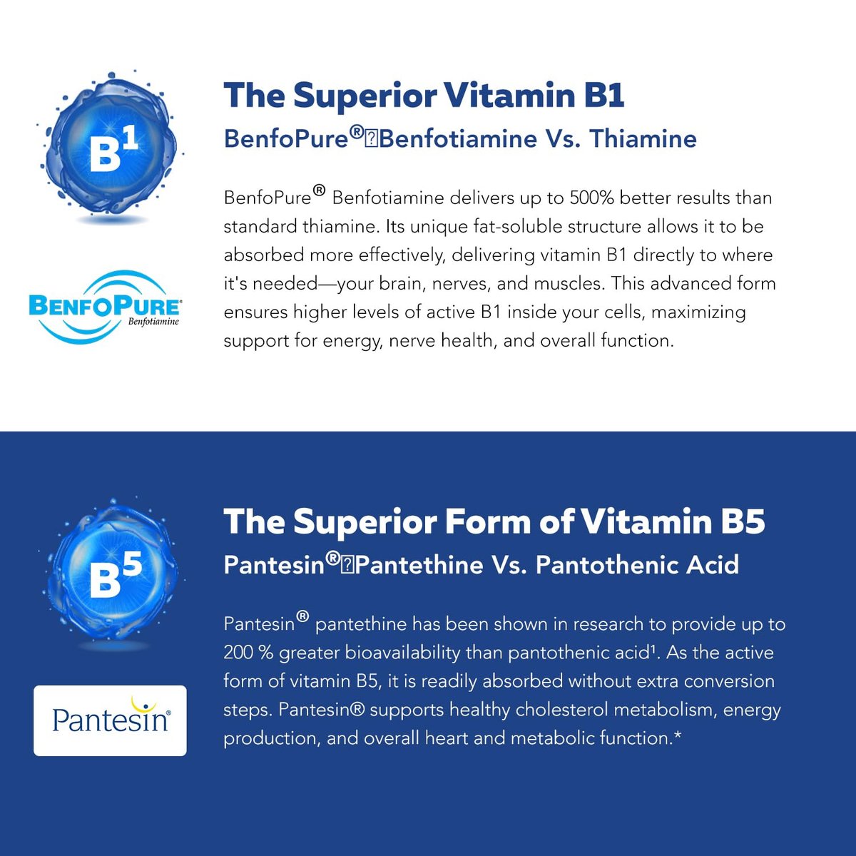 Bioaktiver Vitamin B-Komplex – Blutstrombereit, methylierter B-Komplex mit Methylfolat, 3 bioaktiven Formen von B12, BenfoPure® B1 & Pantesin® B5 – 12 B-Vitamine in klinischen Dosen – 60 Portionen