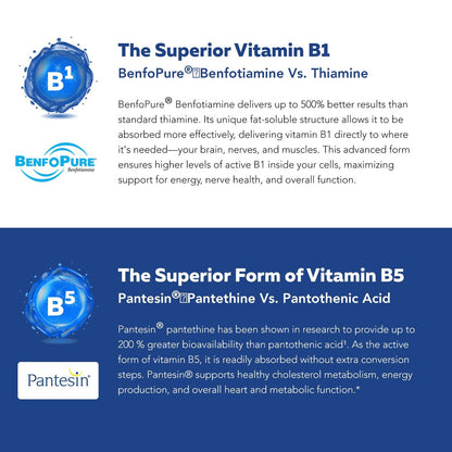 Bioaktiver Vitamin B-Komplex – Blutstrombereit, methylierter B-Komplex mit Methylfolat, 3 bioaktiven Formen von B12, BenfoPure® B1 & Pantesin® B5 – 12 B-Vitamine in klinischen Dosen – 60 Portionen