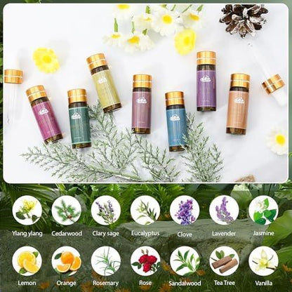 14-teiliges Duft-Essential-Öl-Set – Aromatherapie-Öle für Haut, Diffuser, Haushalt, Luftbefeuchter, Wäsche, Kerzenherstellung – Teebaum, Sandelholz, Lavendel, Vanille, Eukalyptus und mehr (je 5 ml)