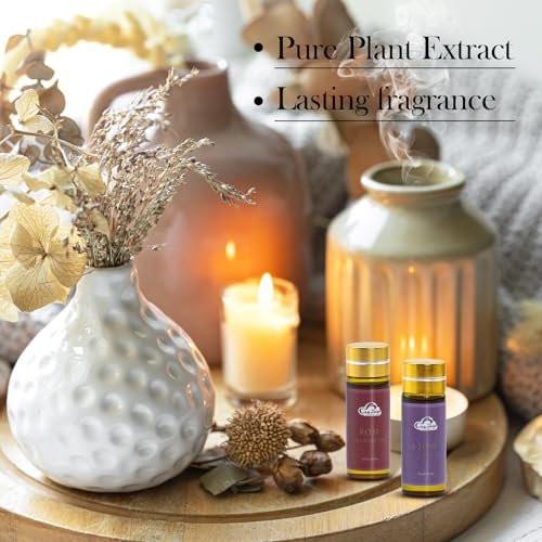 14-teiliges Duft-Essential-Öl-Set – Aromatherapie-Öle für Haut, Diffuser, Haushalt, Luftbefeuchter, Wäsche, Kerzenherstellung – Teebaum, Sandelholz, Lavendel, Vanille, Eukalyptus und mehr (je 5 ml)