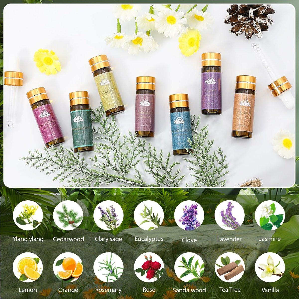 14-teiliges Duft-Essential-Öl-Set – Aromatherapie-Öle für Haut, Diffuser, Haushalt, Luftbefeuchter, Wäsche, Kerzenherstellung – Teebaum, Sandelholz, Lavendel, Vanille, Eukalyptus und mehr (je 5 ml)