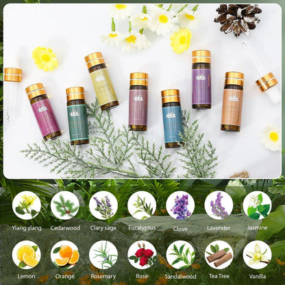 14-teiliges Duft-Essential-Öl-Set – Aromatherapie-Öle für Haut, Diffuser, Haushalt, Luftbefeuchter, Wäsche, Kerzenherstellung – Teebaum, Sandelholz, Lavendel, Vanille, Eukalyptus und mehr (je 5 ml)