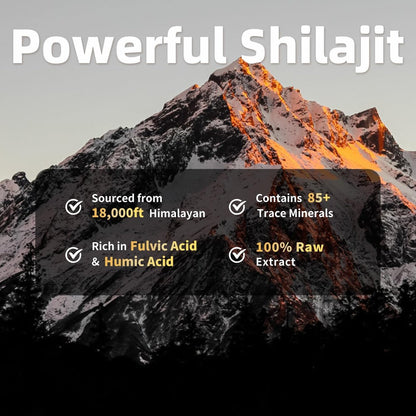 BBEEAAUU Shilajit für Männer mit Sea Moss & Ashwagandha – 12-in-1 Himalaya-Shilajit-Kapseln mit Coenzym Q10, Fulvinsäure & Huminsäure, Löwenmähne, Unterstützt Energie & Immunität, 120 Kapseln