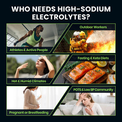 Venture Pal High Sodium Zuckerfreies Elektrolytpulver - Hydrationsbeutel mit Natrium, Kalium & Magnesium | Null Kalorien | Vegan, Keto & Paläo geeignet | 30 Sticks
