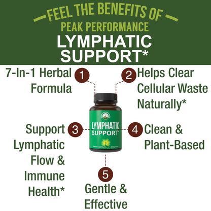 Lymphdrainage-Kapseln – 7-in-1 Lymphsystem-Unterstützung mit veganen Inhaltsstoffen (Echinacea, Rotklee, Klettenwurzel, Rote Wurzel, Süßholzwurzel) für Frauen und Männer – 30 Kapseln